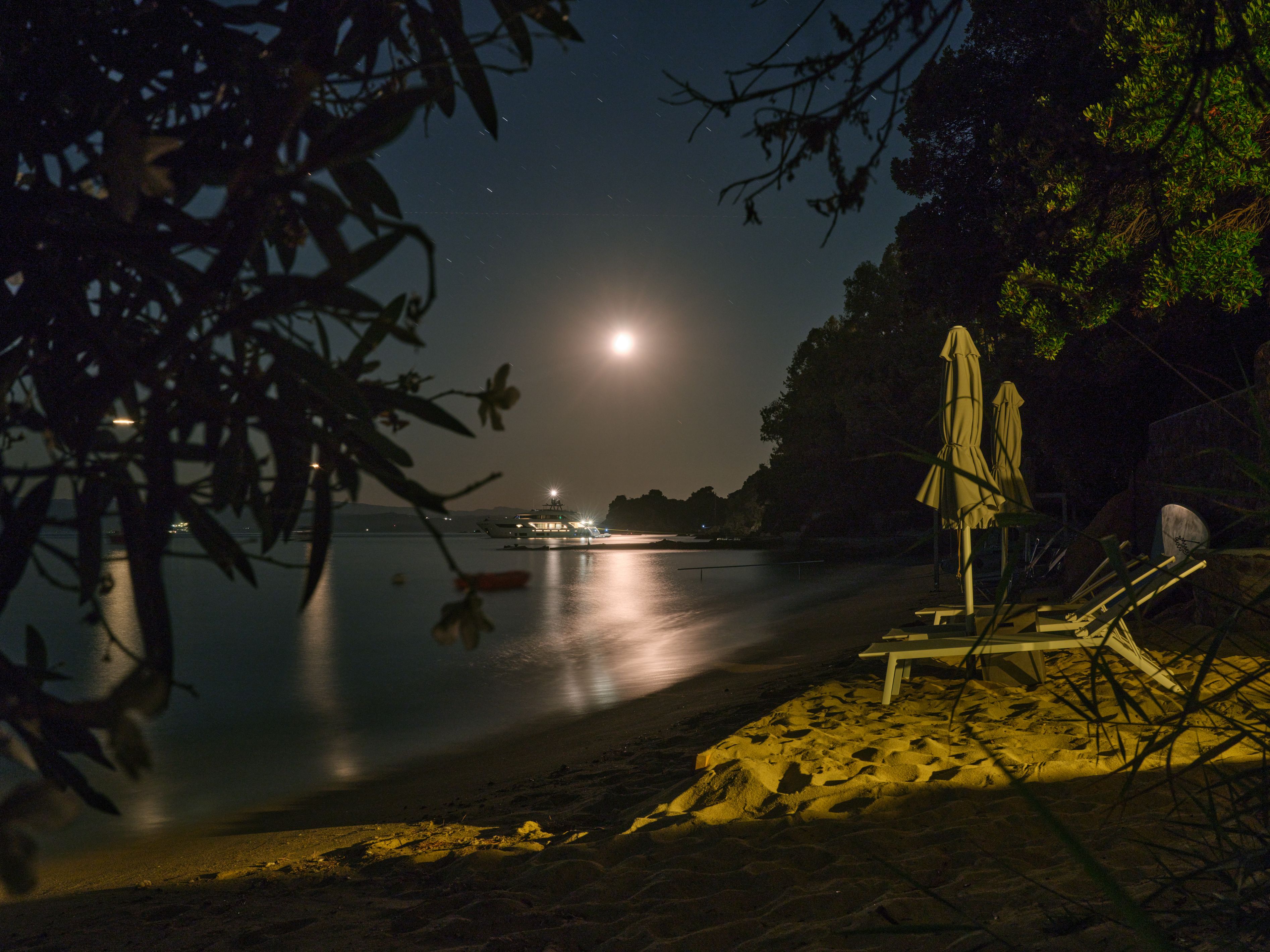 The beach by moonlight, with sunbeds under the trees